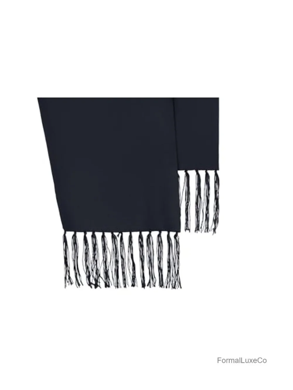 Men's Satin Paisley Formal Scarf with Tassels - 65x9in (1)